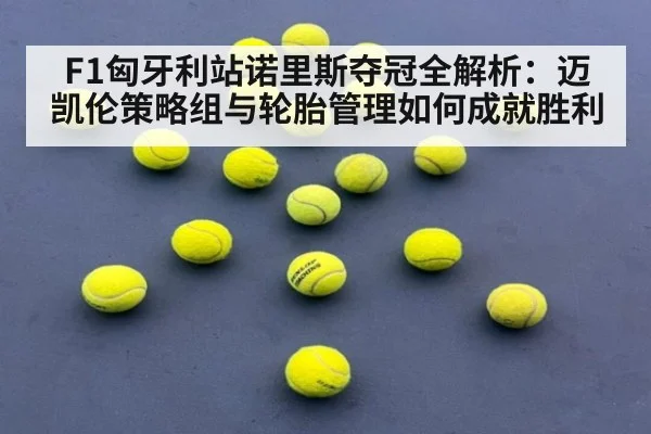 F1匈牙利站诺里斯夺冠全解析:迈凯伦策略组与轮胎管理如何成就胜利
